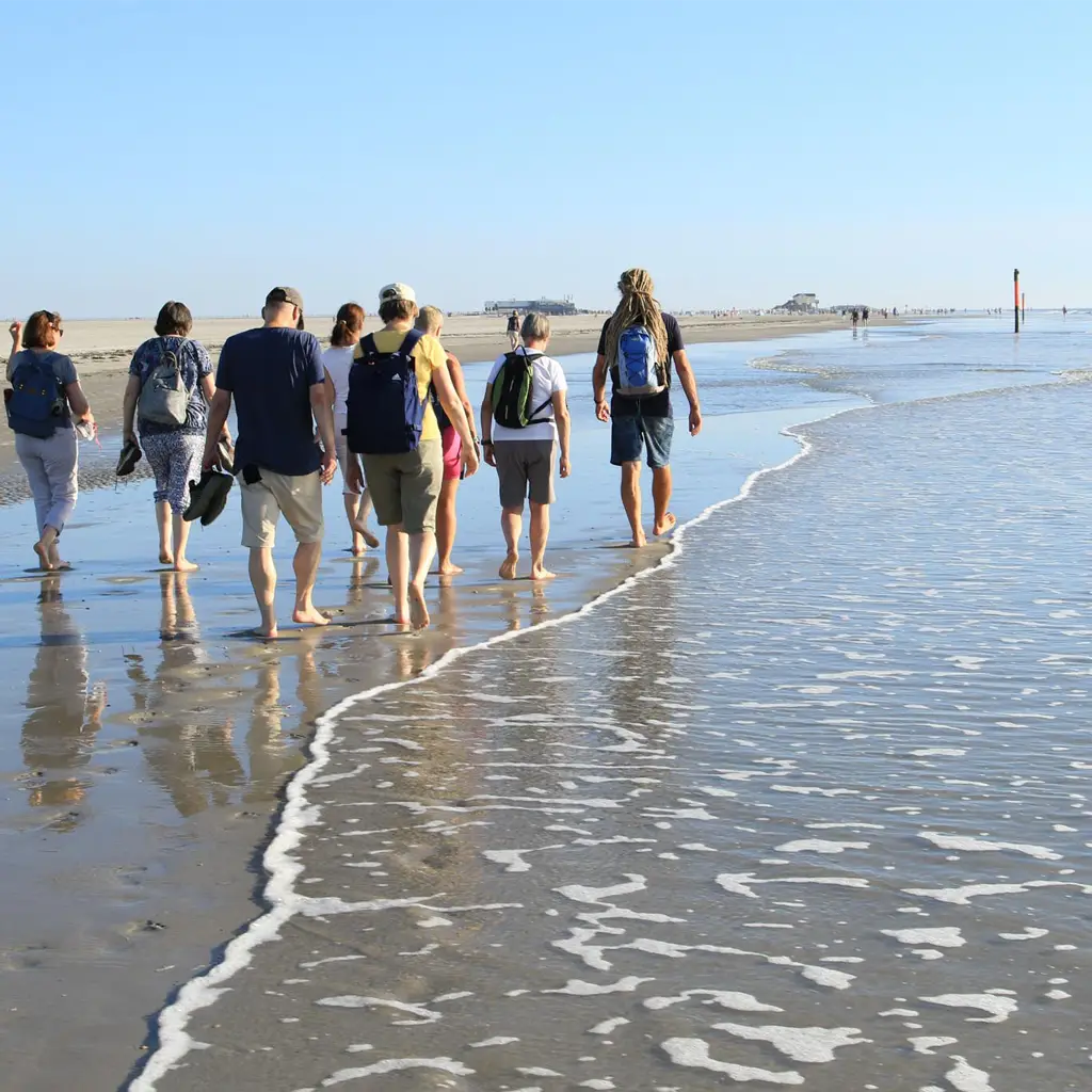 Gruppe bei einem geführten Naturspaziergang am Strand von St. Peter-Ording