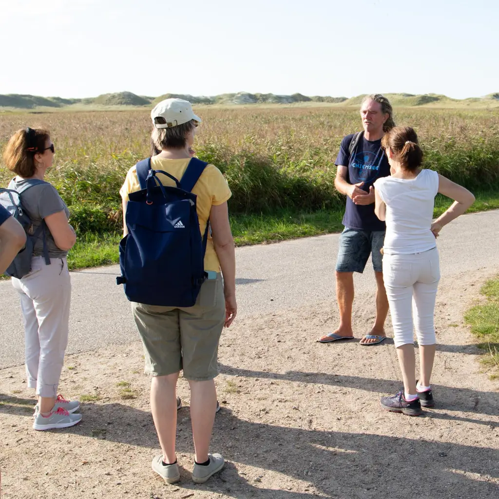 Naturspaziergang in St. Peter-Ording – Naturguide erklärt der Gruppe die Besonderheiten der Dünen- und Küstenlandschaft