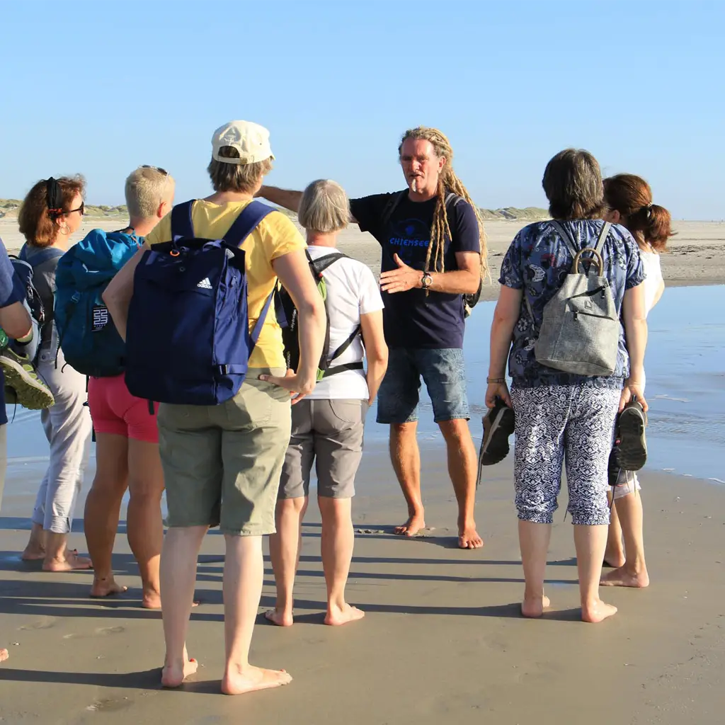 Erklärung während eines geführten Naturspaziergangs am Strand von St. Peter-Ording