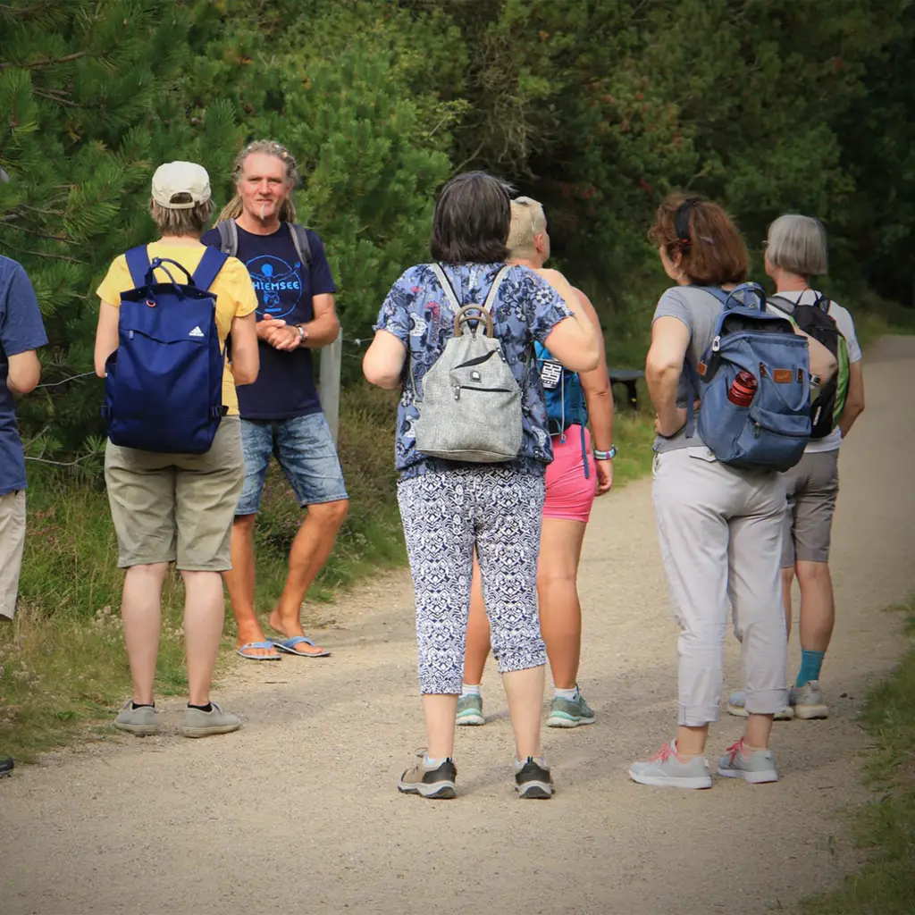 Naturspaziergang mit kleiner Gruppe in St. Peter-Ording – Teilnehmer folgen dem Guide auf einem ruhigen Waldweg
