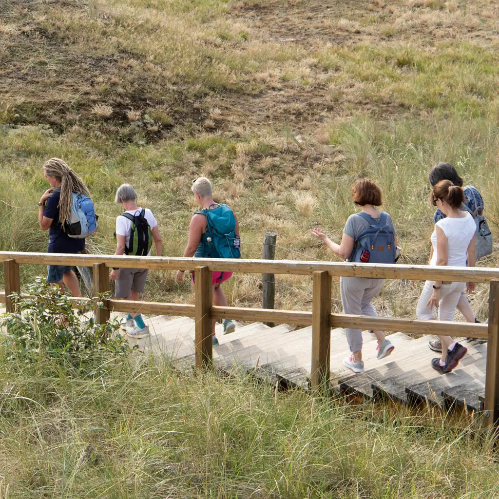 Naturspaziergang in St. Peter-Ording – kleine Gruppe geht gemeinsam über einen Holzsteg durch die Dünenlandschaft
