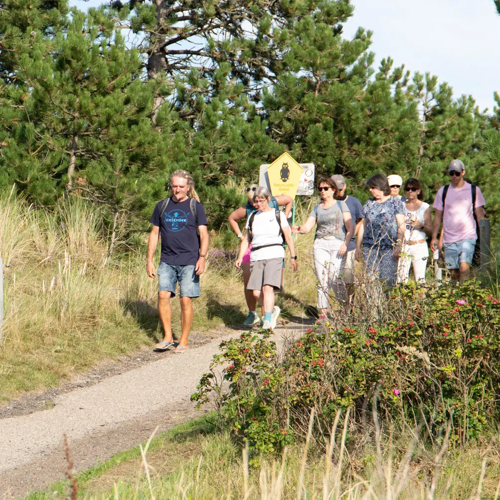Naturspaziergang in St. Peter-Ording – geführte Gruppe wandert gemeinsam auf einem Naturweg durch Dünen und Küstenvegetation