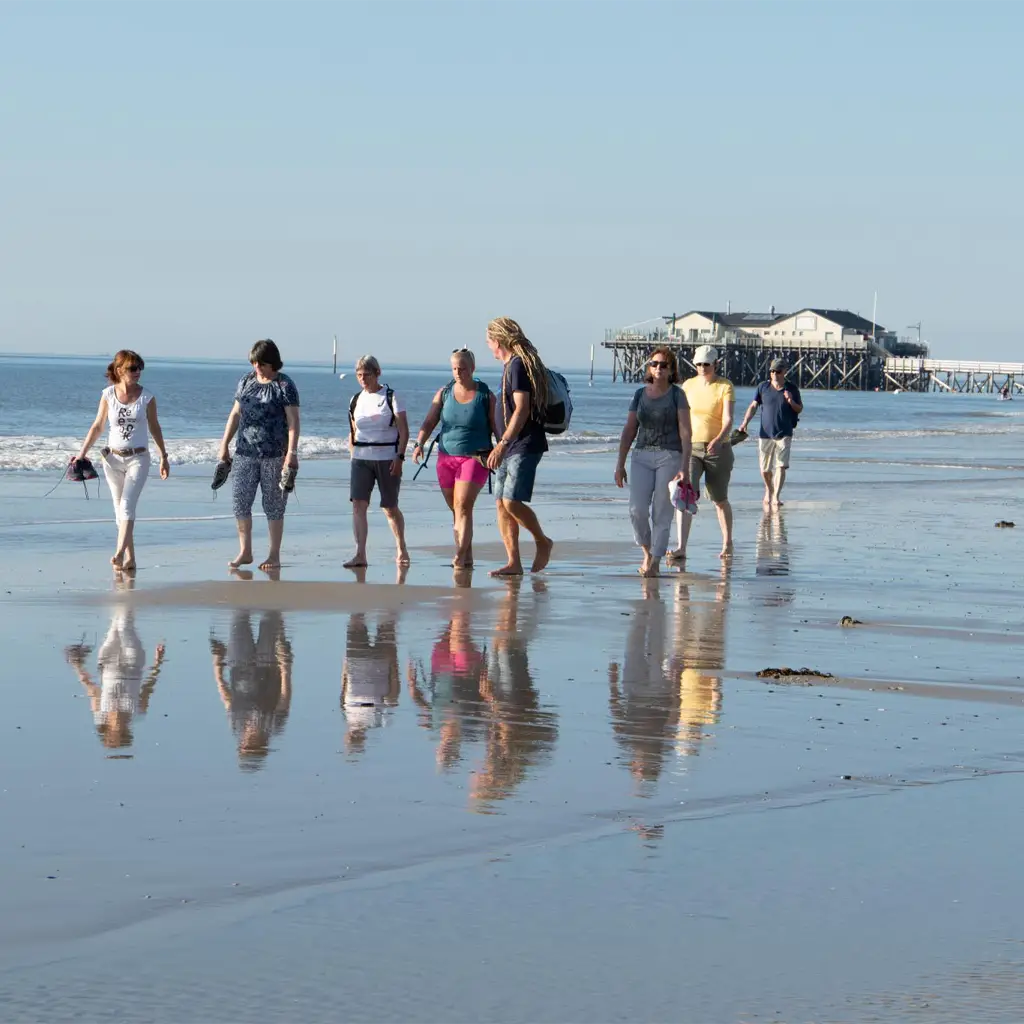 Naturspaziergang in St. Peter-Ording – Gruppe geht barfuß über den nassen Strand mit Blick auf das Pfahlbau-Restaurant