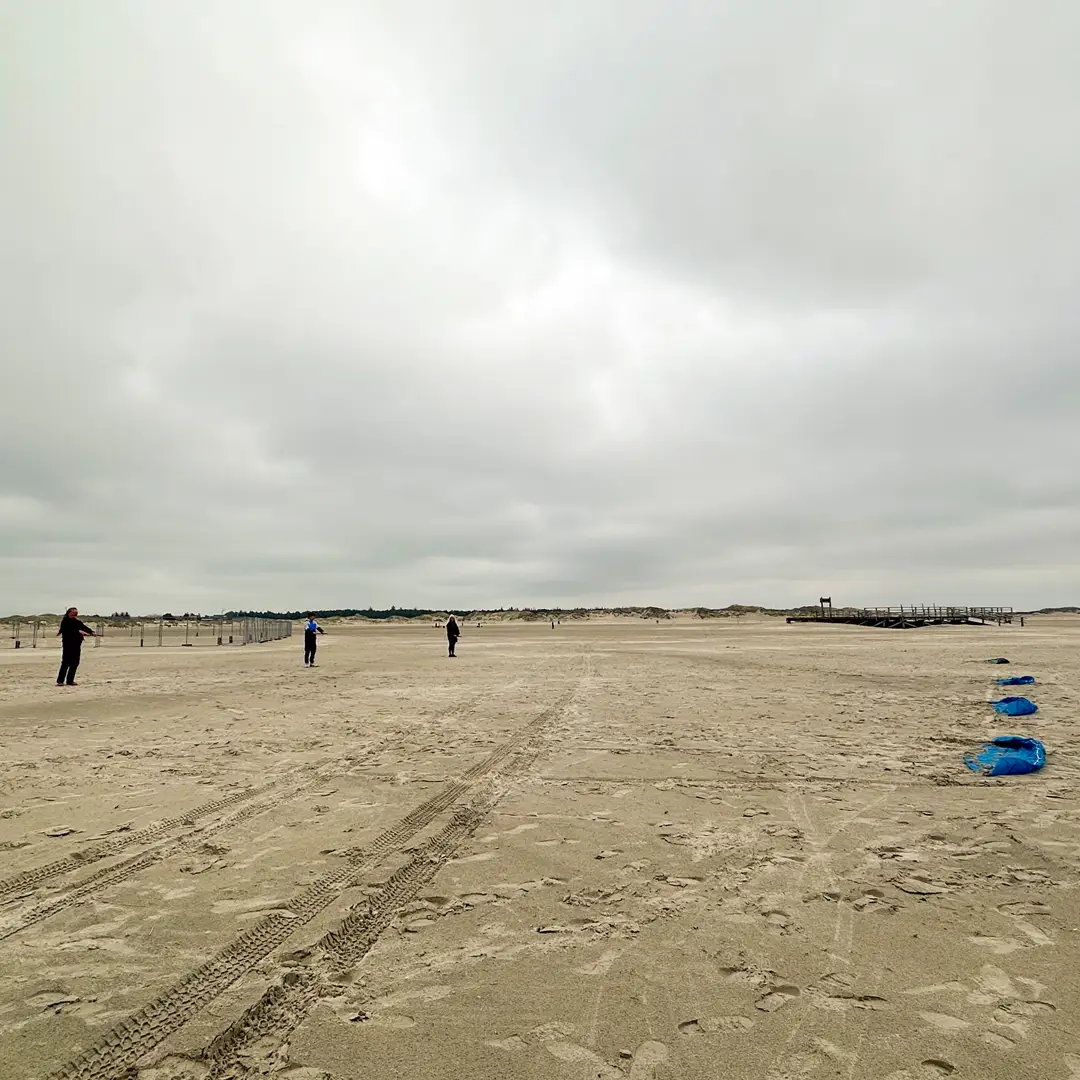 Kite-Schnuppern in St. Peter-Ording: Übungsfläche am Strand für erste Kiteversuche